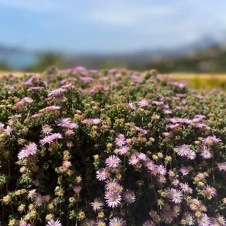 Apartment Stunning Penthouse With Sea View In Altea Hills *